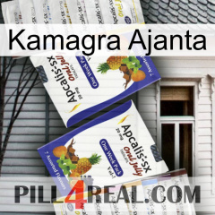 Kamagra Ajanta 12
